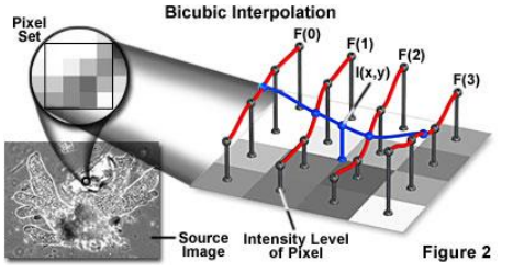 Pasted image 20231009135638.png